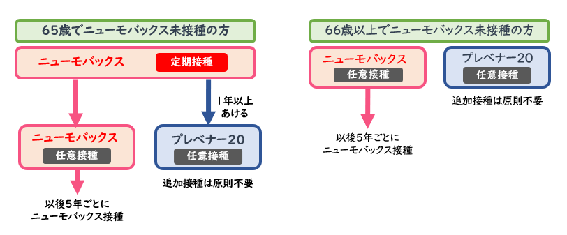 肺炎球菌ワクチン接種の流れ